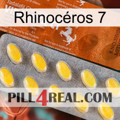 Rhinocéros 7 42